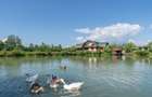 Domeniu privat la poalele muntilor - Glajerie-Rasnov - 4