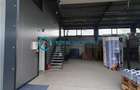 Royal Imobiliare - Vanzare spatiu industrial in zona Paulesti - 20