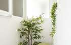 Studio elegant | Pitar Mos | GalDan Apartments - 17