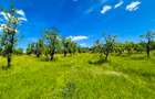 Teren intravilan   Cotmeana Arges - 2
