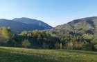 Teren intravilan panoramic în Peștera, Moieciu - 11048 mp - 5