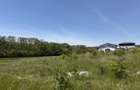 Teren superb la lac – 7.500 mp pentru dezvoltare rezidențială | Brănești - 1