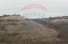 Teren agricol 18.800 mp în Crișeni, lângă Vurpăr - 2