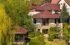 Arhitectura din Piatra si Lemn pe Malul Lacului Mogosoaia - 1