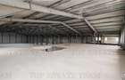 Hala Industriala Balotesti - Spatiu Generos si Accesibilitate Excelenta - 7