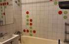 Banu Manta Titulescu apartament 2 camere mobilat de inchiriat - 11