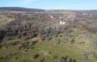 Teren 20.146 mp Dâmbu Rotund (Lomb).Extravilan.Potențial rezidențial - 8