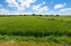 Teren intravilan, 5300 mp, Localitatea Vladimirescu, comision 0% - 1
