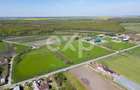 Black Angus Farm with authorized Slaughterhouse - 4