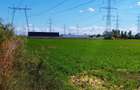 Terenuri intravilane 4550 MP, deschidere la stradă 30m - 4