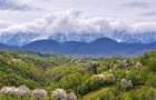 7.000 mp, pozitie spectaculoasa, fara vecini, Fundatica, Brasov - 2