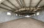 Hala Industrială / Agricolă | 800 MP Construcție + 800 MP Teren | - 4