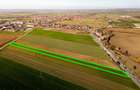 RECO Teren, zona Tamaseu, 5000 mp, dublu front la DN19 cu acces rapid - 5