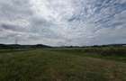 Teren intravilan Criseni 42 de ari 3300eur/ar - 1