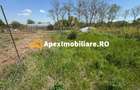 Teren intravilan de vanzare  Cornetu IF | ApexImobiliare.ro - 6