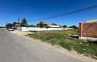 Lugoj, Teren 2.650 Mp. Front 19 ml., La Ieșire Spre Caransebeș - 3