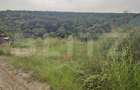 Teren 2350 mp lângă pădure ,zona Leamna de Jos - 1