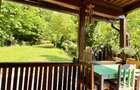 Casă în Pădure pe Valea Borcutului – 5 min de oraș | Direct Proprietar - 1