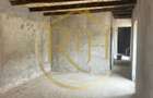Casa plus teren de vânzare în Balinț,comision ,,0'' - 10