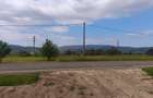 Casa+teren 5000mp, 70ml la DN 2E, zona Cacica, Radauti - 6