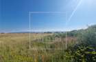 Teren intravilan de 10.000 mp, Calea Surii Mici - 5