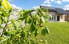 Resedinta noua Sanpetru–Bod, pe 500 mp, eficienta energetica, panouri solare, tr - 1