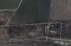 38.000 mp Branesti Ilfov - 3