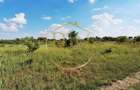 Parcela pentru Duplex sau Casa Individuala, 677mp, Sag-Manastire, 0% Comision - 10