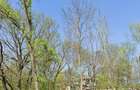 Teren intravilan 1.014 mp | Valu lui Traian | P+4E | Forest M - 4