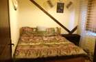 Cabana 4 camere-teren 350 mp-foisor amenajat 25 mp- Baile Figa - 4