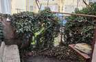 Apartament 3 Camere, Decomandat, Inel 2 - 14