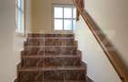 Vila 7 camere, 750mp-teren, BAILE HERCULANE - 15