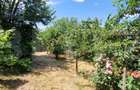 Casă 80 mp, teren 905 mp, dublă deschidere, zona Pielesti - 19