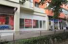 Inchiriere spatiu comercial Teiul Doamnei - 74mp - 6