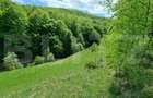 EXCLUSIVITATE! Teren extravilan, 5.400 mp, Comuna Iara, Valea Vadului - 4
