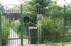 Vând casă în orașul Buziaș sau schimb cu apartament la parter, în Timișoara. - 1
