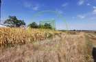 Teren intravilan de vanzare in Osorhei, 5.840 mp, cu front 3 fronturi stradale. - 4