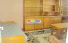INCHIRIERE apartament 3 camere Brancoveanu (Izvorul Rece) - 11