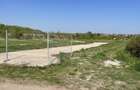 Teren intravilan Ganeasa,Jud Ilfov - 5
