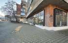 Spatiu comercial, 101mp, semicentru, Podul de Fier Iasi, spre aeroport - 8