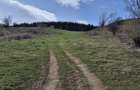 Teren intravilan la baza pădurii Valea Doftanei sat Traisteni (poduri) - 12