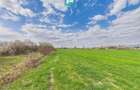Teren extravilan, 1 ha, în orașul Sebiș, Arad - 6