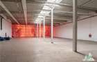 Oportunitate de Investitie! Vanzare Proprietate in zona Centura Nord - DN1 - 19