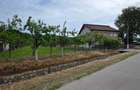 CASA/SPATIU COMERCIAL - GENUNENI - 4