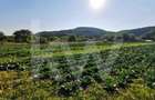 Teren extravilan 7500mp, cu acces la astfalt, zona Bungard - 2