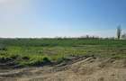10.100mp TEREN CONSTRUCȚII INTRAVILAN POTIGRAFU, DESCHIDERE 31m direct la DN1 - 11