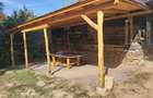 Poiană privată, pădure și cabană | Proprietate cu potențial turistic - 8