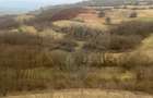 Teren agricol 18.800 mp în Crișeni, lângă Vurpăr - 4