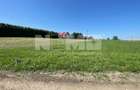 Teren Intravilan 2.000 mp – Ideal pentru Construcție sau Investiție - 2