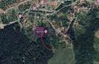 Teren 3581 mp | Marginimea Sibiului | priveliste superba - 7